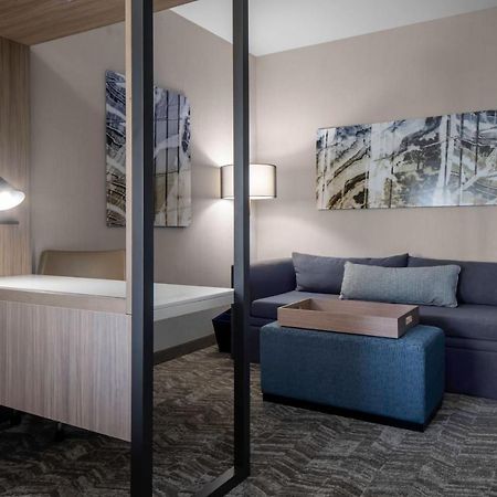 Springhill Suites By Marriott Charlotte هانترسفيل المظهر الخارجي الصورة